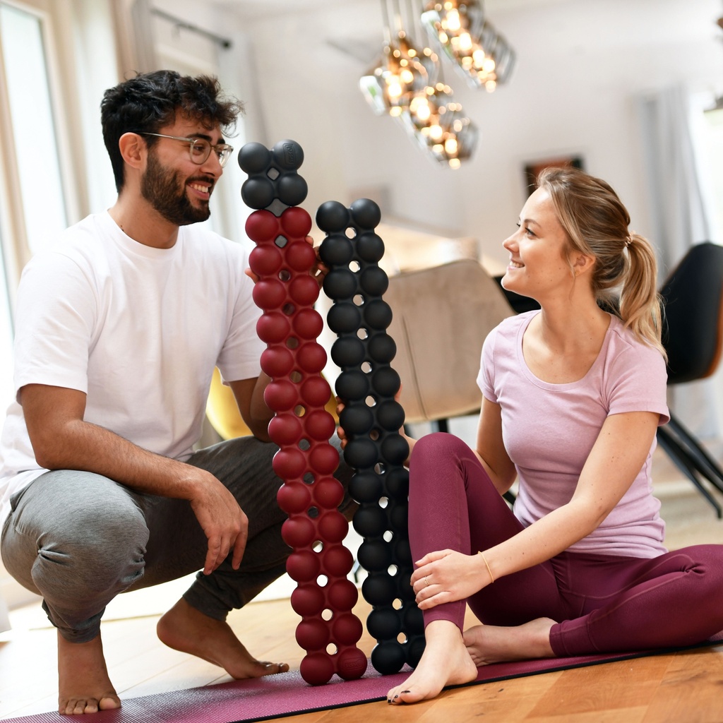 SPINEFITTER® by SISSEL® Multi Extension Kit – uitbreidingsset voor extra trainingsmogelijkheden