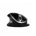 Oyster Mouse