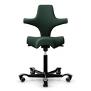 HAG Capisco 8106 Grün Select - Bestseller