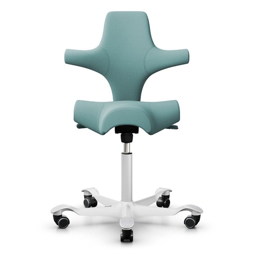 HAG Capisco 8106 Seegrün Aktion