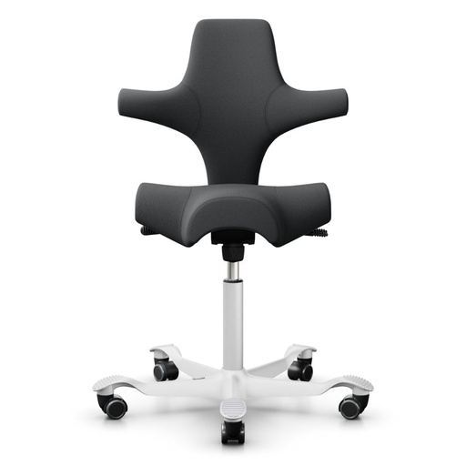 HAG Capisco 8106 Anthracite Select