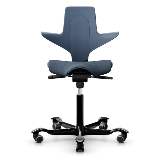 HAG Capisco Puls 8020