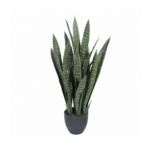 Götessons Sansiveria incl. pot H.900