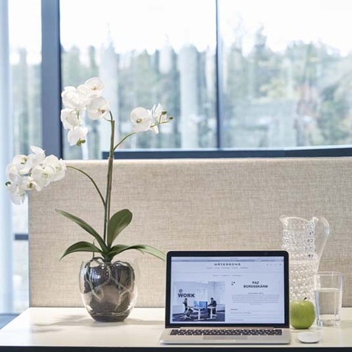 Götessons Orchidée Phalaenopsis pot incl. H.650