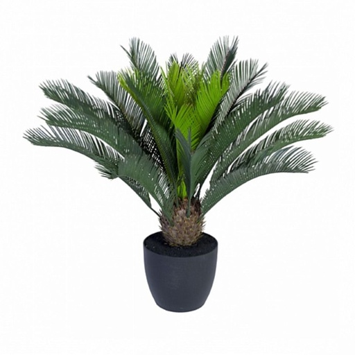 Götessons Cycas Palm incl. pot H.700