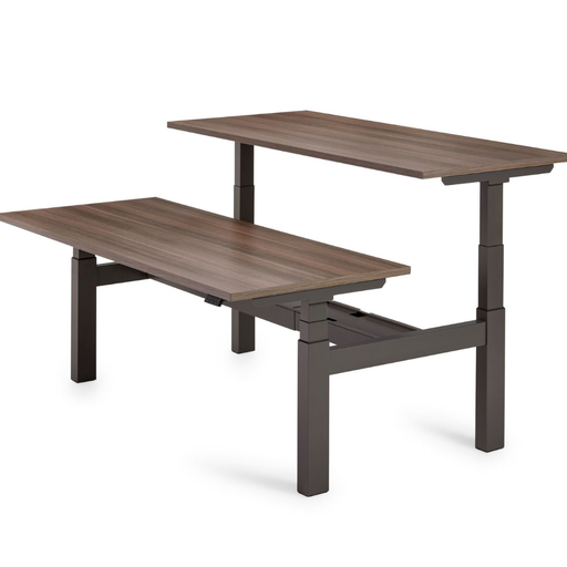 Flex 3+ bench sit-stand desk for 2 people with T-leg